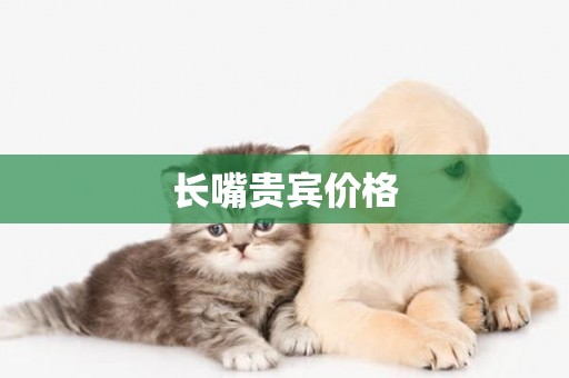 長嘴貴賓價格