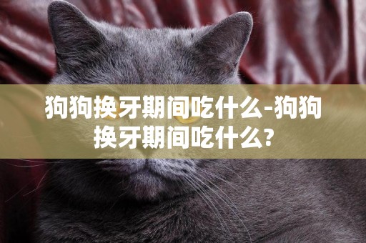 狗狗換牙期間吃什么-狗狗換牙期間吃什么?