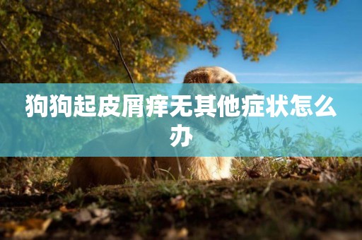 狗狗起皮屑癢無其他癥狀怎么辦