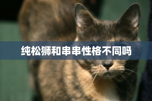 純松獅和串串性格不同嗎