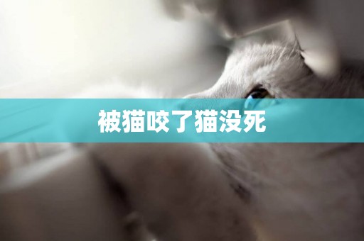 被貓咬了貓沒死