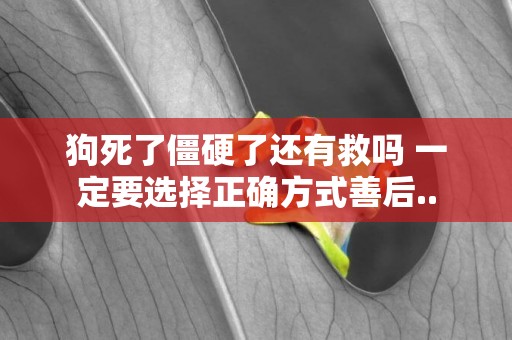 狗死了僵硬了還有救嗎 一定要選擇正確方式善后..