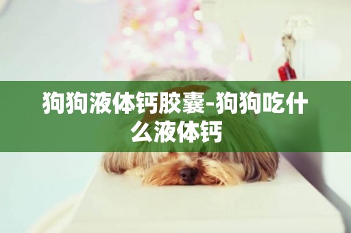 狗狗液體鈣膠囊-狗狗吃什么液體鈣