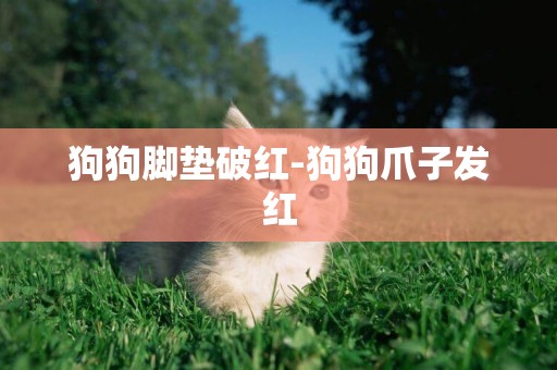 狗狗腳墊破紅-狗狗爪子發紅