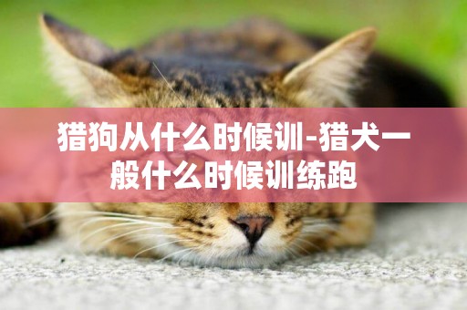 獵狗從什么時候訓-獵犬一般什么時候訓練跑