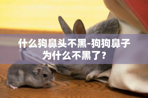 什么狗鼻頭不黑-狗狗鼻子為什么不黑了？
