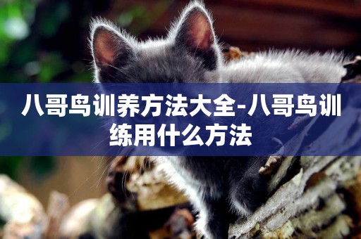 八哥鳥訓養方法大全-八哥鳥訓練用什么方法