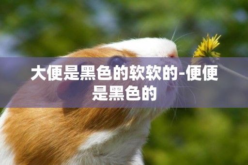 大便是黑色的軟軟的-便便是黑色的