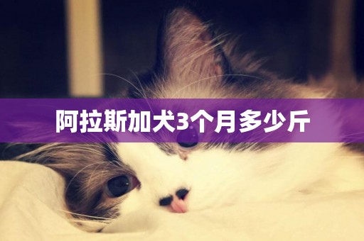 阿拉斯加犬3個月多少斤