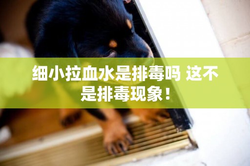細小拉血水是排毒嗎 這不是排毒現象! 細小拉血水是排毒嗎 這不是排毒現象!