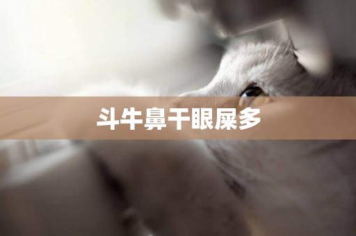斗牛鼻干眼屎多