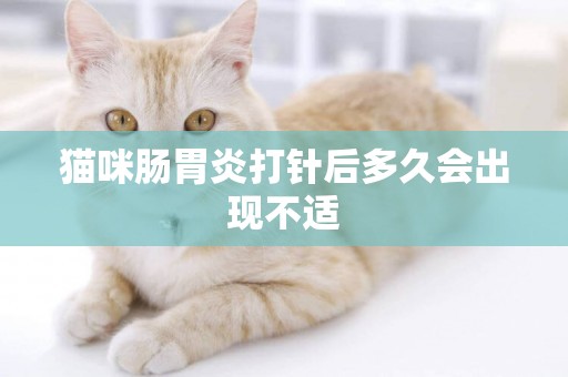 貓咪腸胃炎打針后多久會出現不適