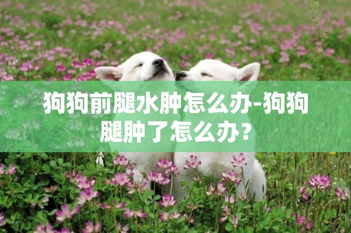 狗狗前腿水腫怎么辦-狗狗腿腫了怎么辦？