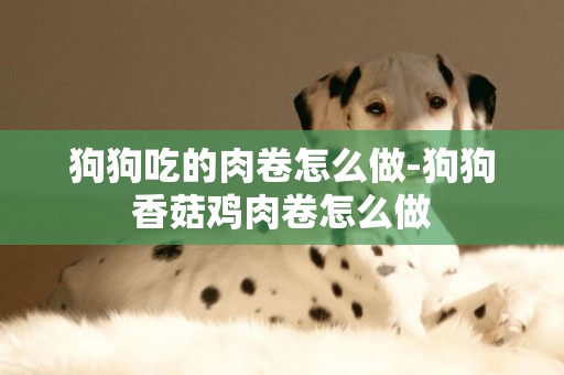 狗狗吃的肉卷怎么做-狗狗香菇雞肉卷怎么做