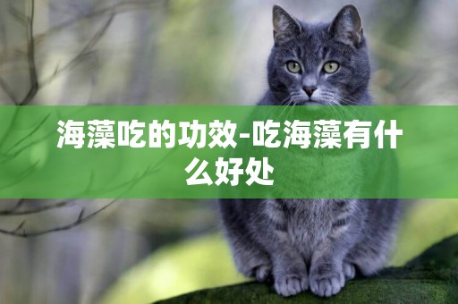 海藻吃的功效-吃海藻有什么好處
