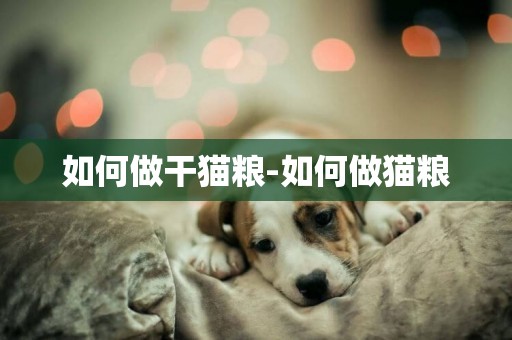 如何做干貓糧-如何做貓糧
