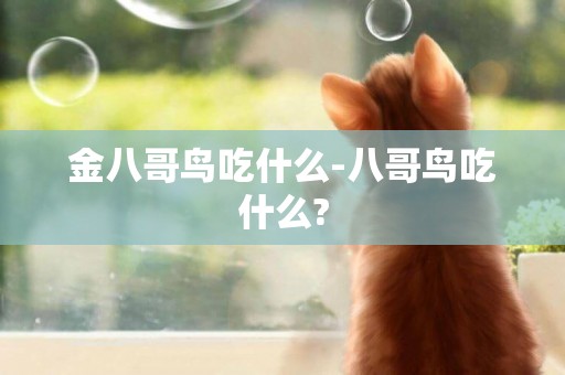 金八哥鳥吃什么-八哥鳥吃什么?