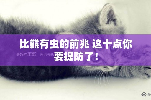 比熊有蟲的前兆 這十點你要提防了！