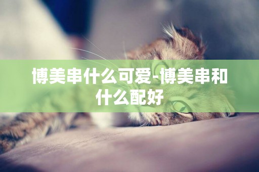 博美串什么可愛-博美串和什么配好