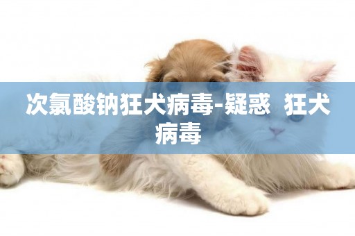 次氯酸鈉狂犬病毒-疑惑  狂犬病毒