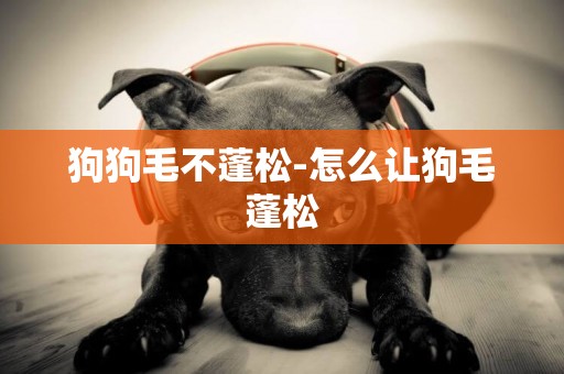 狗狗毛不蓬松-怎么讓狗毛蓬松