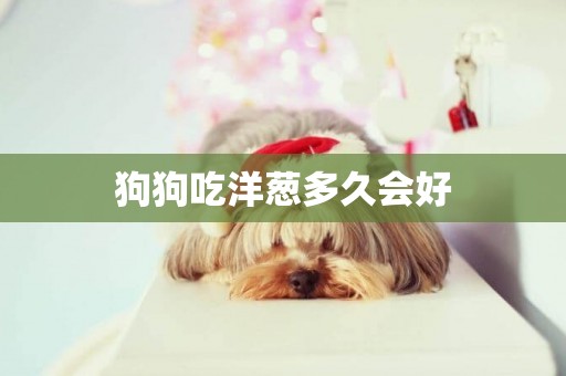 狗狗吃洋蔥多久會好