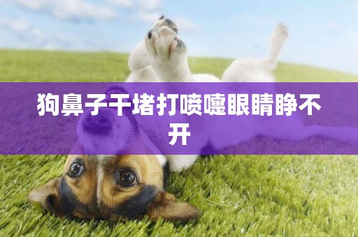 狗鼻子干堵打噴嚏眼睛睜不開