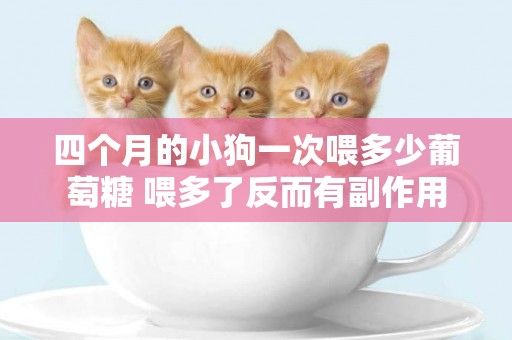 四個月的小狗一次喂多少葡萄糖 喂多了反而有副作用