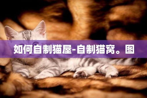 如何自制貓屋-自制貓窩。圖