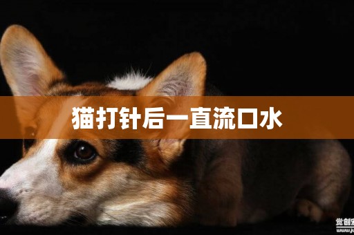 貓打針后一直流口水