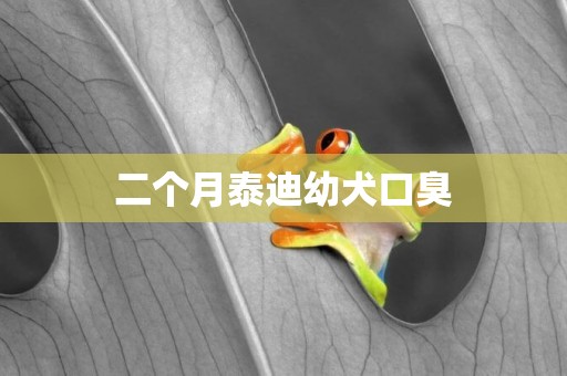 二個月泰迪幼犬口臭