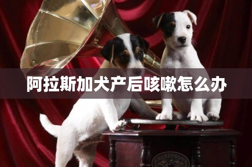 阿拉斯加犬產后咳嗽怎么辦