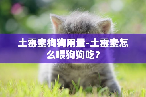 土霉素狗狗用量-土霉素怎么喂狗狗吃？