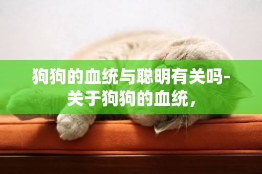 狗狗的血統與聰明有關嗎-關于狗狗的血統，