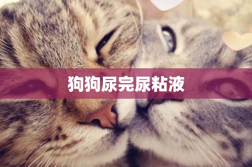 狗狗尿完尿粘液