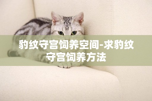 豹紋守宮飼養空間-求豹紋守宮飼養方法
