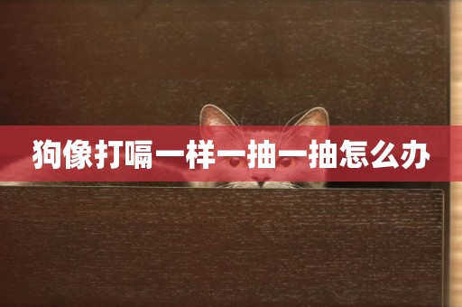 狗像打嗝一樣一抽一抽怎么辦