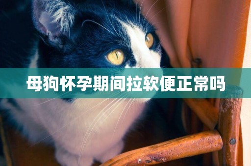 母狗懷孕期間拉軟便正常嗎