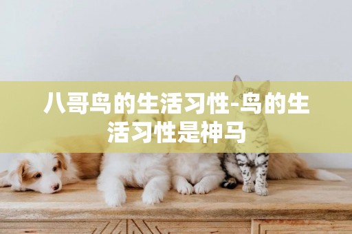 八哥鳥的生活習性-鳥的生活習性是神馬
