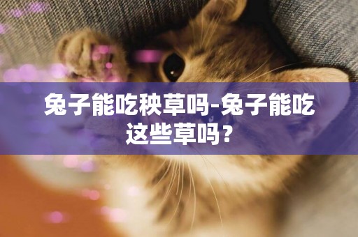 兔子能吃秧草嗎-兔子能吃這些草嗎？