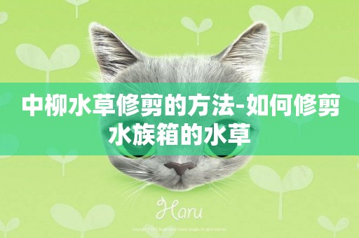 中柳水草修剪的方法-如何修剪水族箱的水草