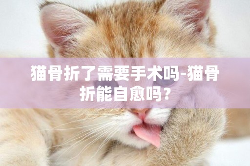 貓骨折了需要手術嗎-貓骨折能自愈嗎？