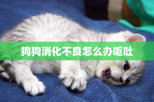 狗狗消化不良怎么辦嘔吐