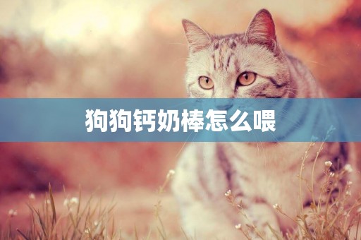 狗狗鈣奶棒怎么喂