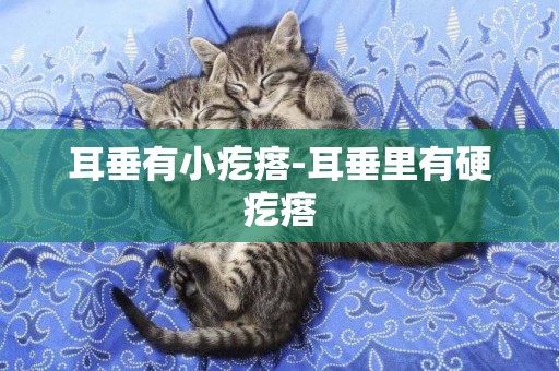 耳垂有小疙瘩-耳垂里有硬疙瘩