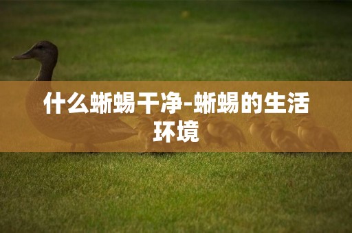 什么蜥蜴干凈-蜥蜴的生活環境