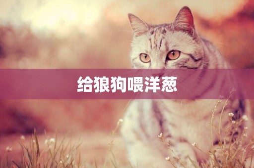 給狼狗喂洋蔥