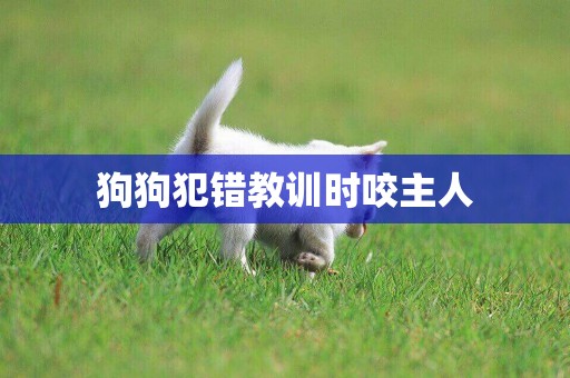 狗狗犯錯教訓時咬主人
