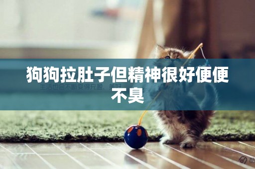 狗狗拉肚子但精神很好便便不臭