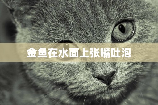 金魚在水面上張嘴吐泡
